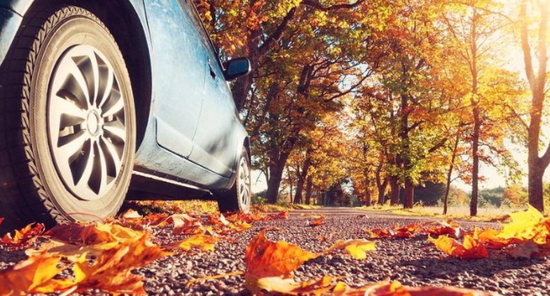 Three Common Thanksgiving Accidents