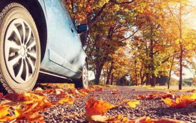 Three Common Thanksgiving Accidents